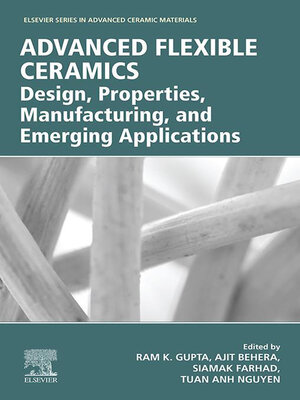 cover image of Advanced Flexible Ceramics